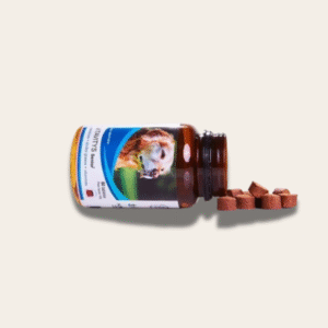 Suplemento Vitamínico para Cães Idosos – Ômega 3 e Condroitina (60 cápsulas)